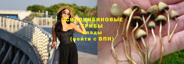 а пвп мука Горняк