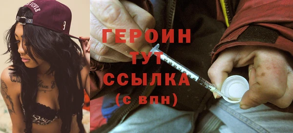 прущий лед Вяземский