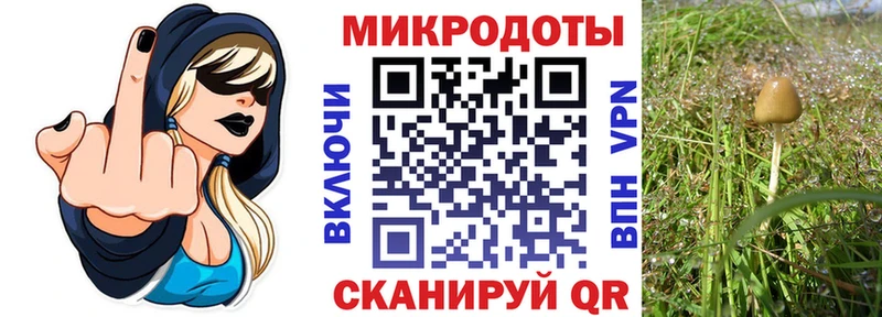 купить наркотики цена  Елабуга  Псилоцибиновые грибы MAGIC MUSHROOMS 